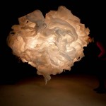 The Ephemeral Mind by Erika Dueck