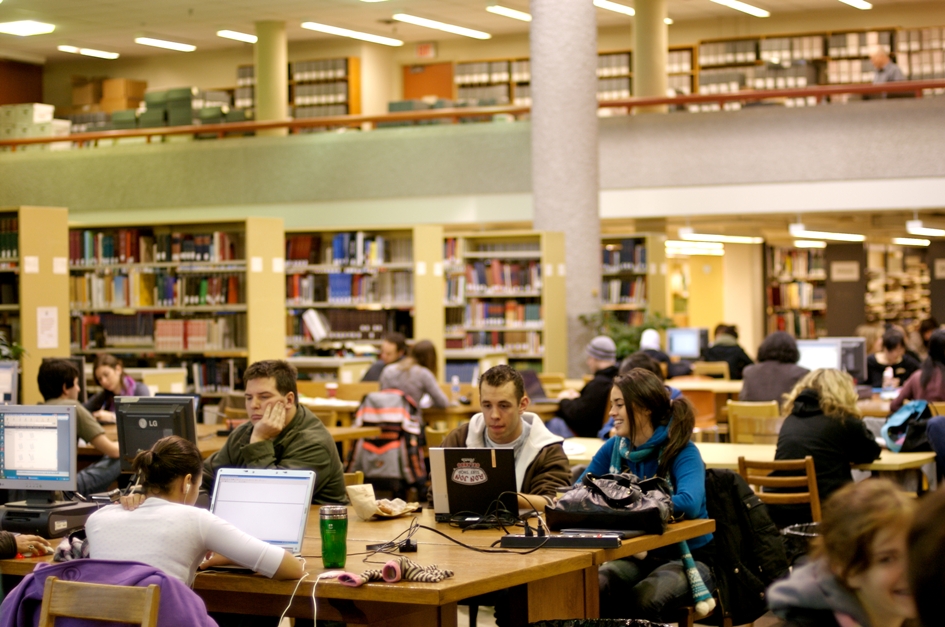 Students in the library