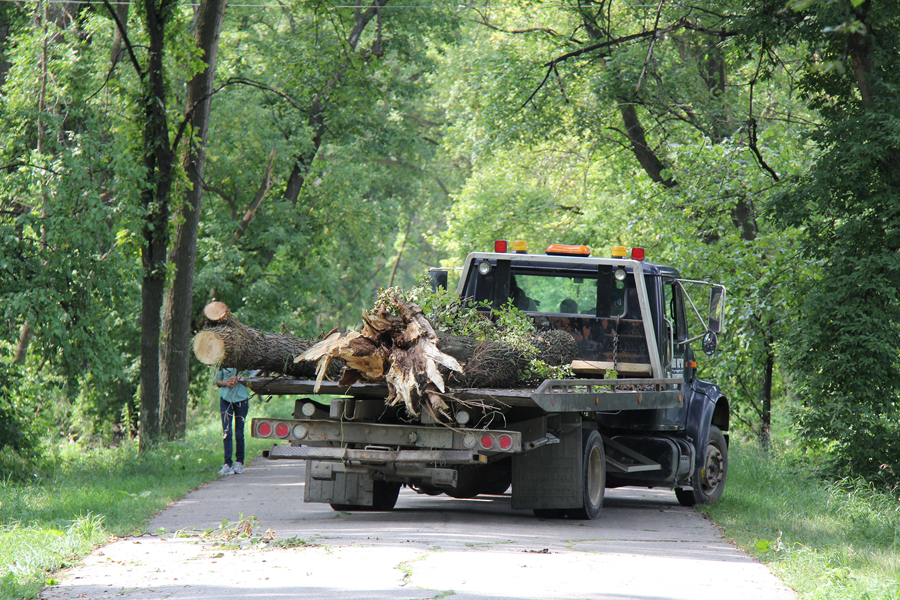 A truck on a forest road collects fallen trees.