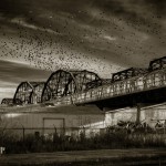Arlington Bridge, photo by Bryan Scott.