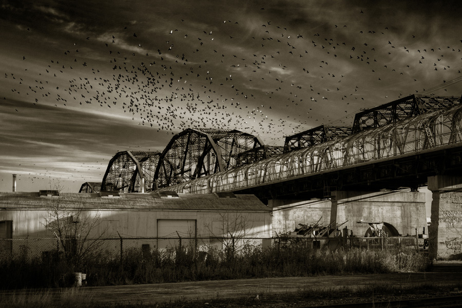 Arlington Bridge, photo by Bryan Scott.