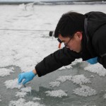 Feiyue Wang collecting frost flower samples for study. // Photo by BeiBei Lu