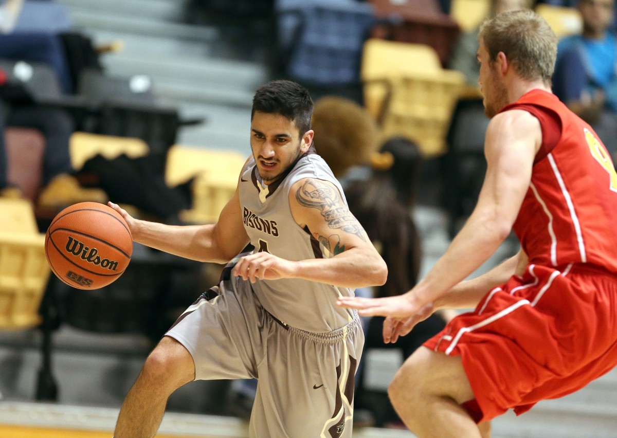 bison basketball player dribbles to the net