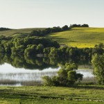 12-LakesideFields-KareniaNiedzwiecki