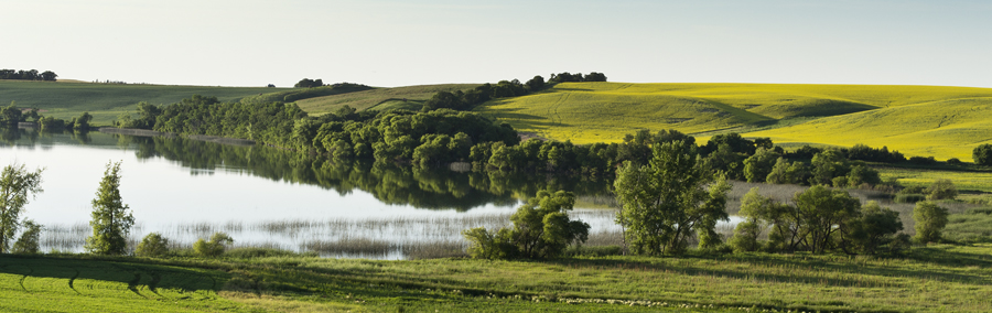 12-LakesideFields-KareniaNiedzwiecki