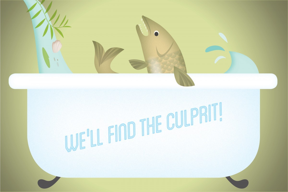 a fish in a bathtub with spilling water