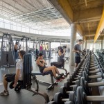 Active Living Centre Free Weights