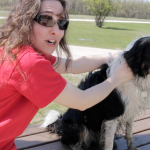 checking dog for ticks