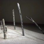 Grace Nickel, Devastatus Rememorari, 2008 Collection of the Art Gallery of Nova Scotia Photo by: Steve Farmer