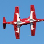 Morgan Stratchan's Snowbird