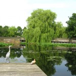 Westergasfabrik, Water garden in excavated gasholder, Amsterdam // Photo: Alan Tate, Great City Parks