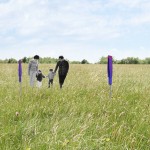 Knaves turn’d Honest