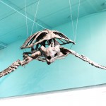 Inside the Ed Leith Cretaceous Menagerie. // Photo by Chris Reid