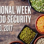 An overhead shot of a bowls of lentils on a rustic table top