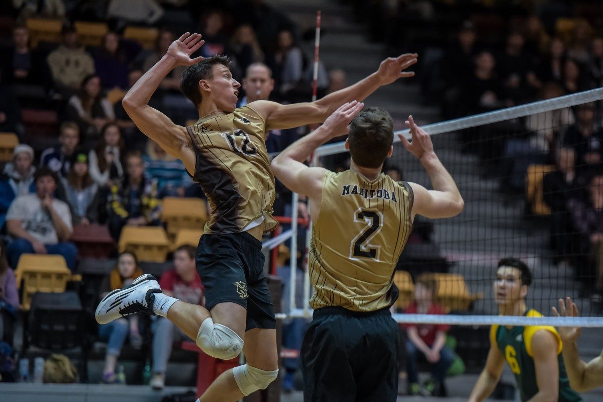 UNIVERSITY OF MANITOBA BISON DUSTIN SPIRING // PHOTO BY JEFF MILLER, BISON SPORTS