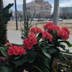 @sleepyoryx Rebecca Winner