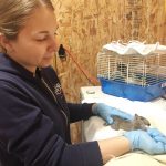 Tiffany Pastrick feeds a squirrel
