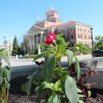 Campus Beautification Day June 2, 2017.