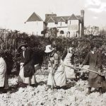The Glynde School For Lady Gardeners in Sussex, England, established by Lady Frances Wolseley in 1902. Papers of the Viscountess Frances Wolseley, Hove Central Library, Hove, Sussex, Commonplace Book no. 196