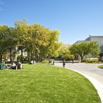 campus walkway and greenery