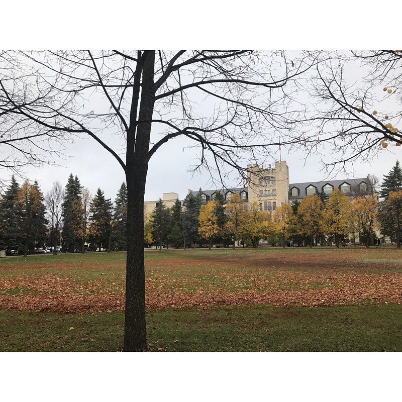 Fall has officially arrived on campus, as shown by this lovely Instagram shot by @bambicabes