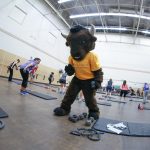Billy the Bison gets physical in a group fitness class at the ALC, captured by @uofmrecservices on Instagram