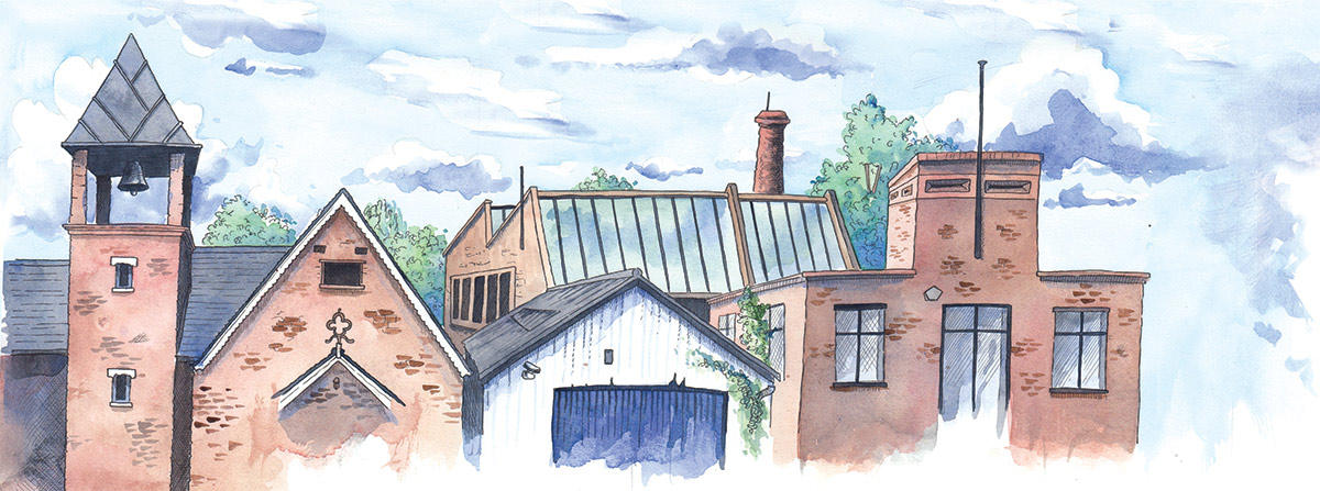 Illustrations by Jane Heinrichs