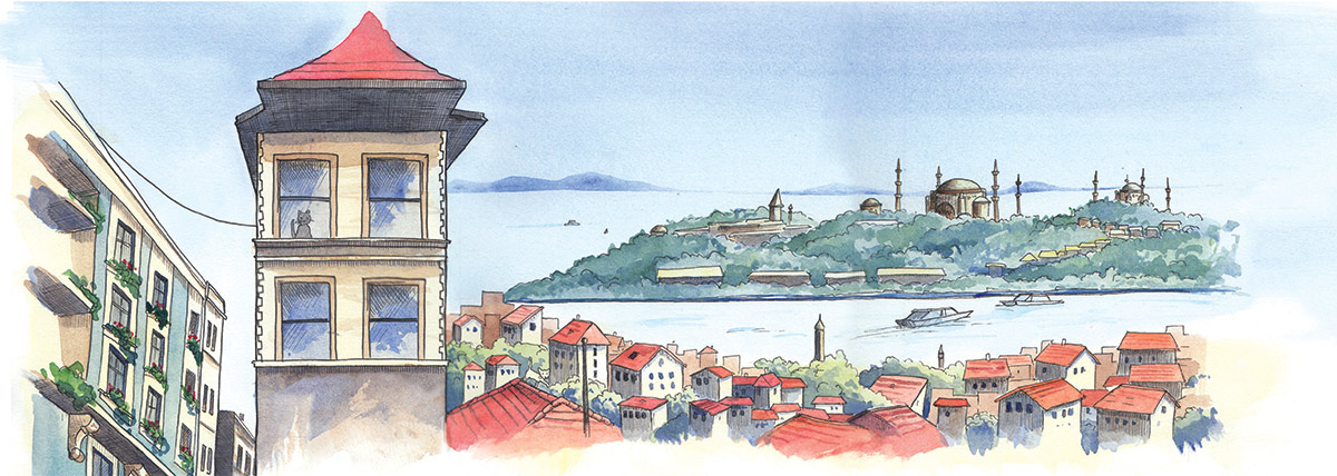 Illustrations by Jane Heinrichs