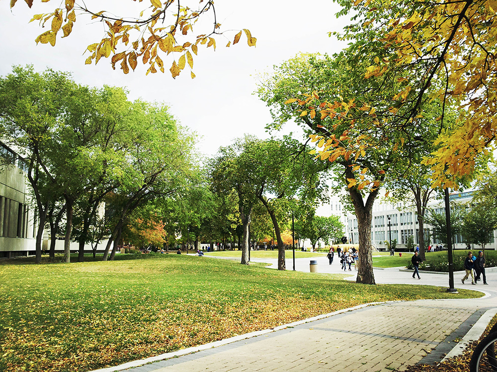 Campus Trees