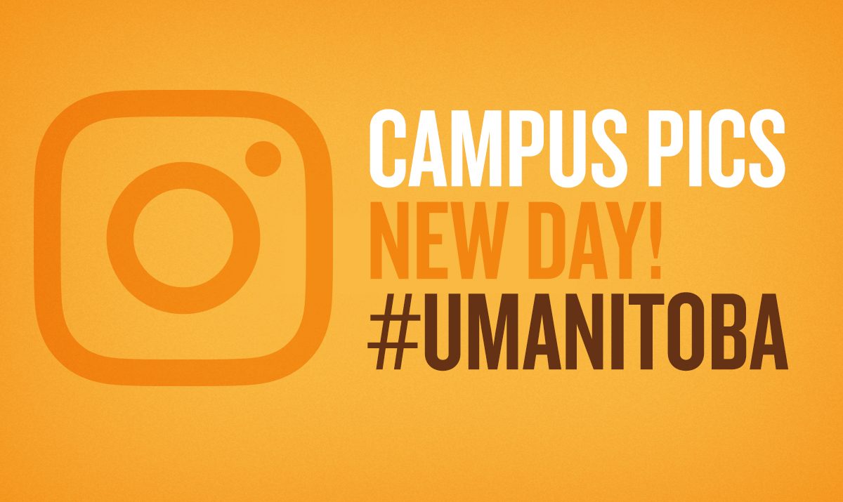 Instagram 2017 Year in Review