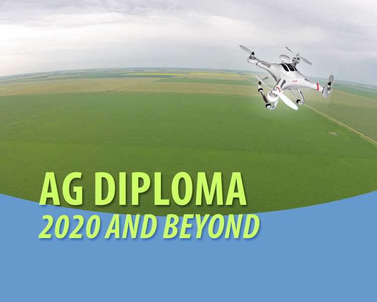 Ag Diploma - 2020 and beyond