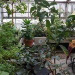 Photo by @jurisdixtion