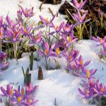 Spring inspires new possibilities.