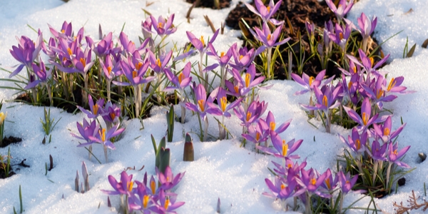 Spring inspires new possibilities.