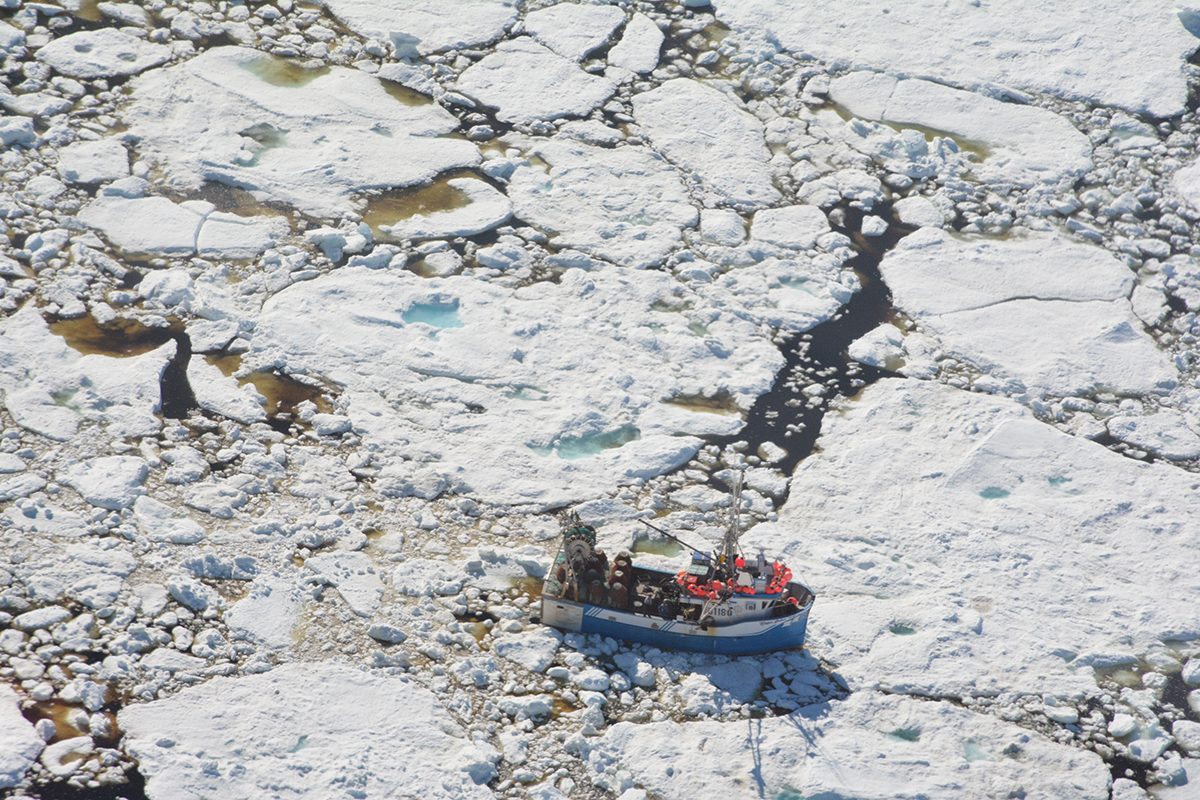 A crab fishing boat trapped in the multiyear sea ice off the Newfoundland coast. Credit: David G. Barber.