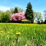 "Colourful Spring" on Instagram by @chamara.87