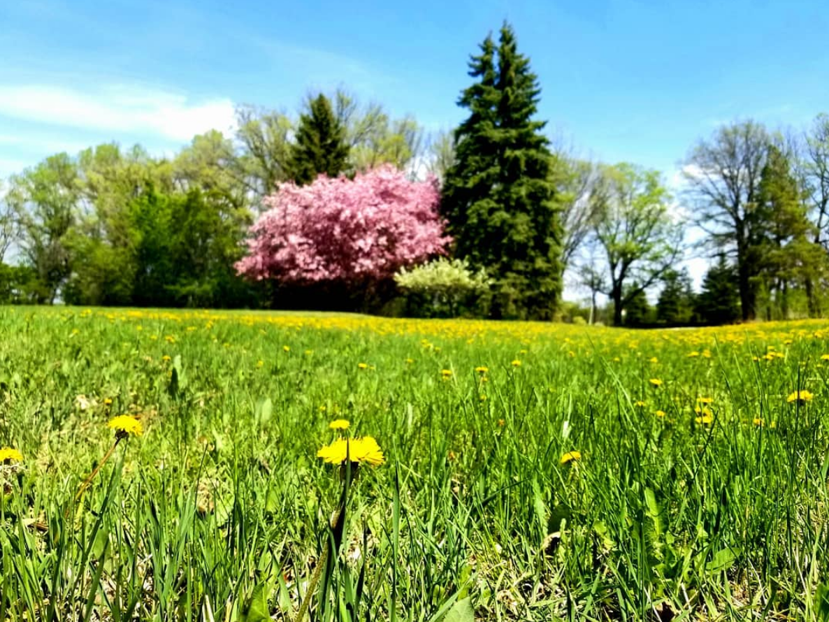 "Colourful Spring" on Instagram by @chamara.87