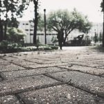 Paving stones at the University