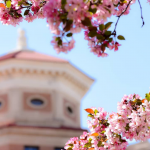 Campus in full bloom, captured on Instagram by @travelling_manitoban