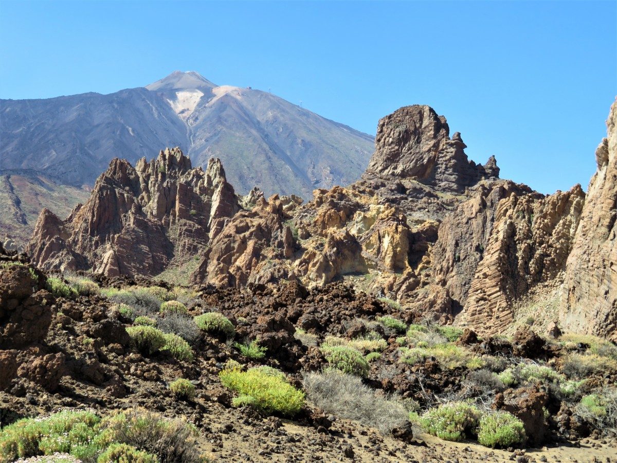 Sampling in the Canary Islands with the Tiede volcano in the background