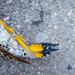 An image from the new exhibit Coda // Photo: Paulson Des Brisay