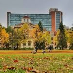 Autumn on the Duckworth Quad and a pair of Canadian geese