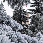 Contest Winner by Samarth Srivastava