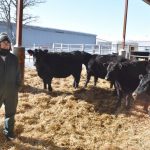 Rhea Teranishi with cattle