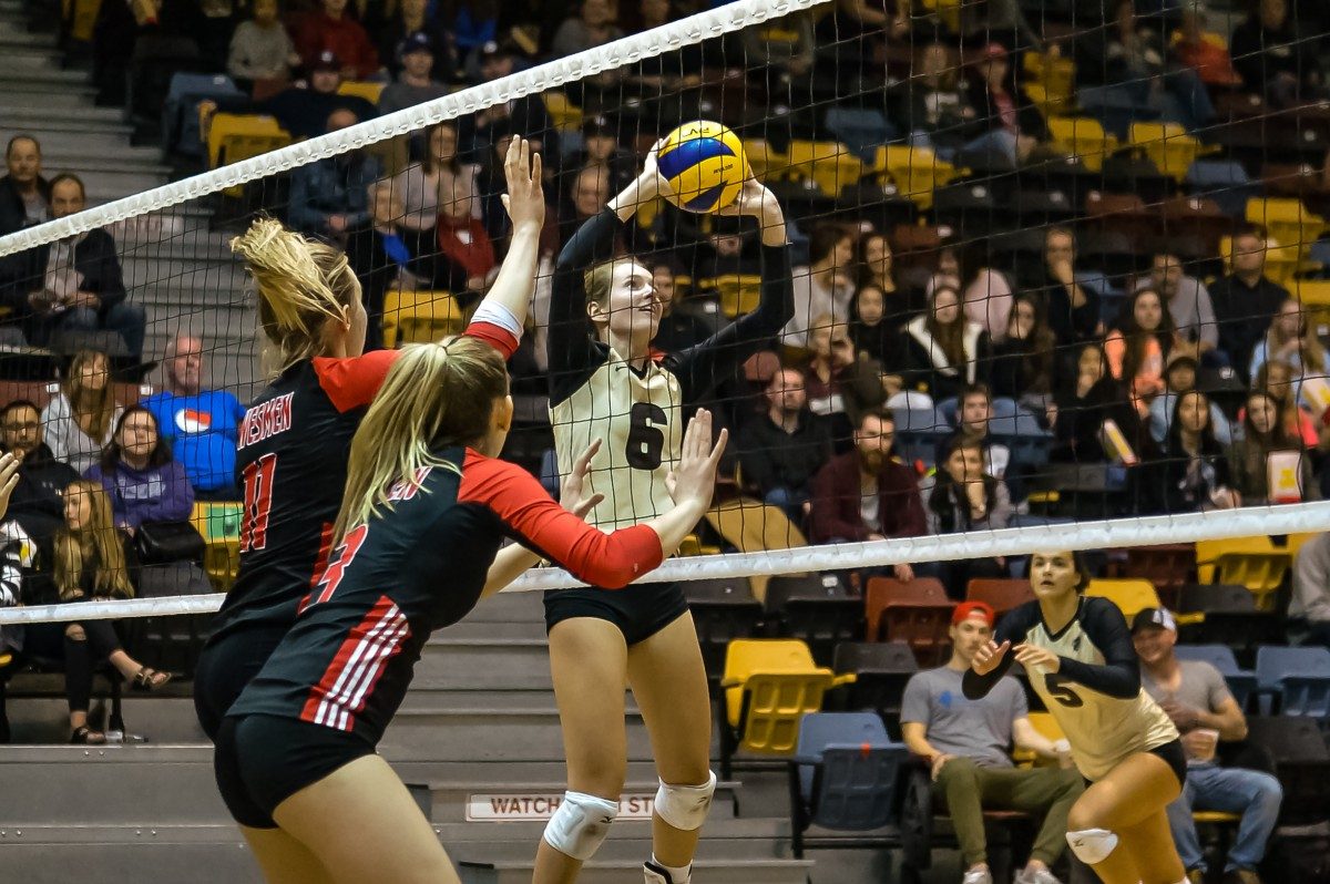 Bison volleyball Duckworth