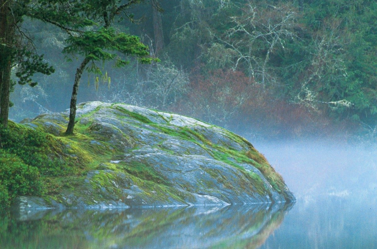 Families in Canada Conference 2019