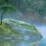 Families in Canada Conference 2019