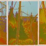 William Lobchuk The Great Northwest Series (triptych), 1982 serigraph, edition 29/35, 290 cm x 72.2 cm Gift of Bill Lobchuk School of Art Gallery Permanent Collection