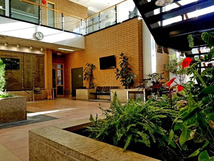 Winning Shot by @chamara.86