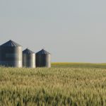 Image of silos from Ognjen Odobasic / Pixabay